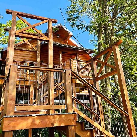 Cricket Hill Treehouse By Amish Country Lodging Millersburg Exteriér fotografie