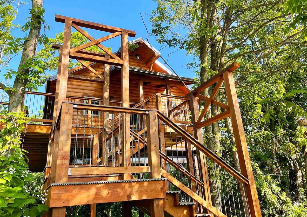 Cricket Hill Treehouse By Amish Country Lodging Millersburg Exteriér fotografie